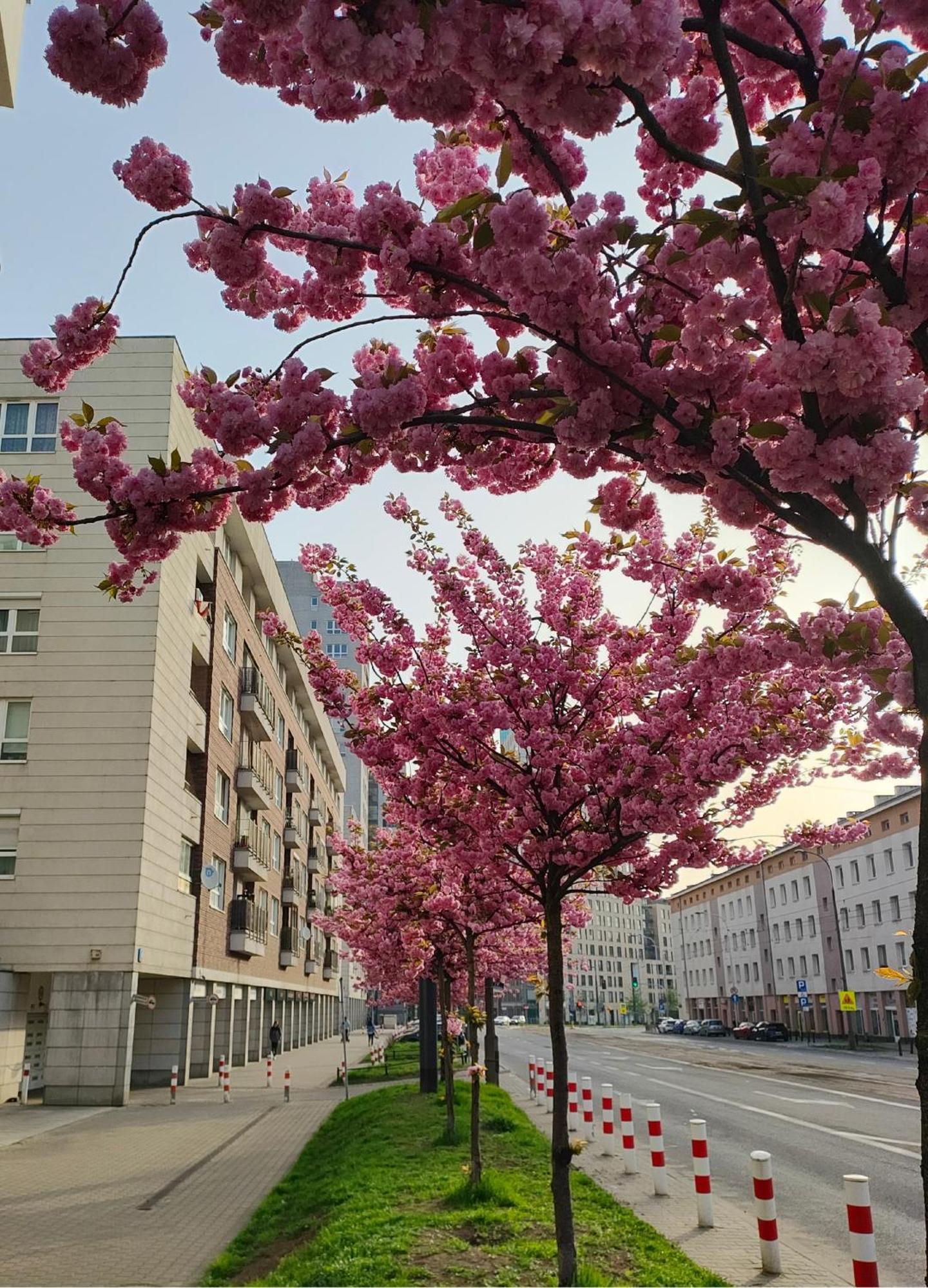 Totutotam Appartement Warschau Buitenkant foto